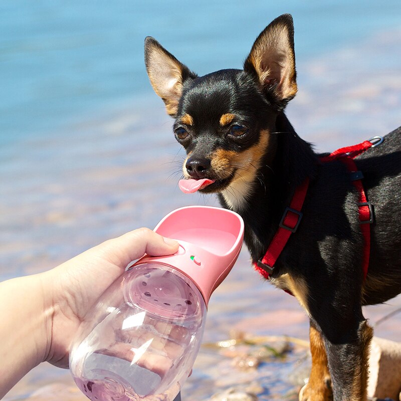 Garrafa Pet Easy Water